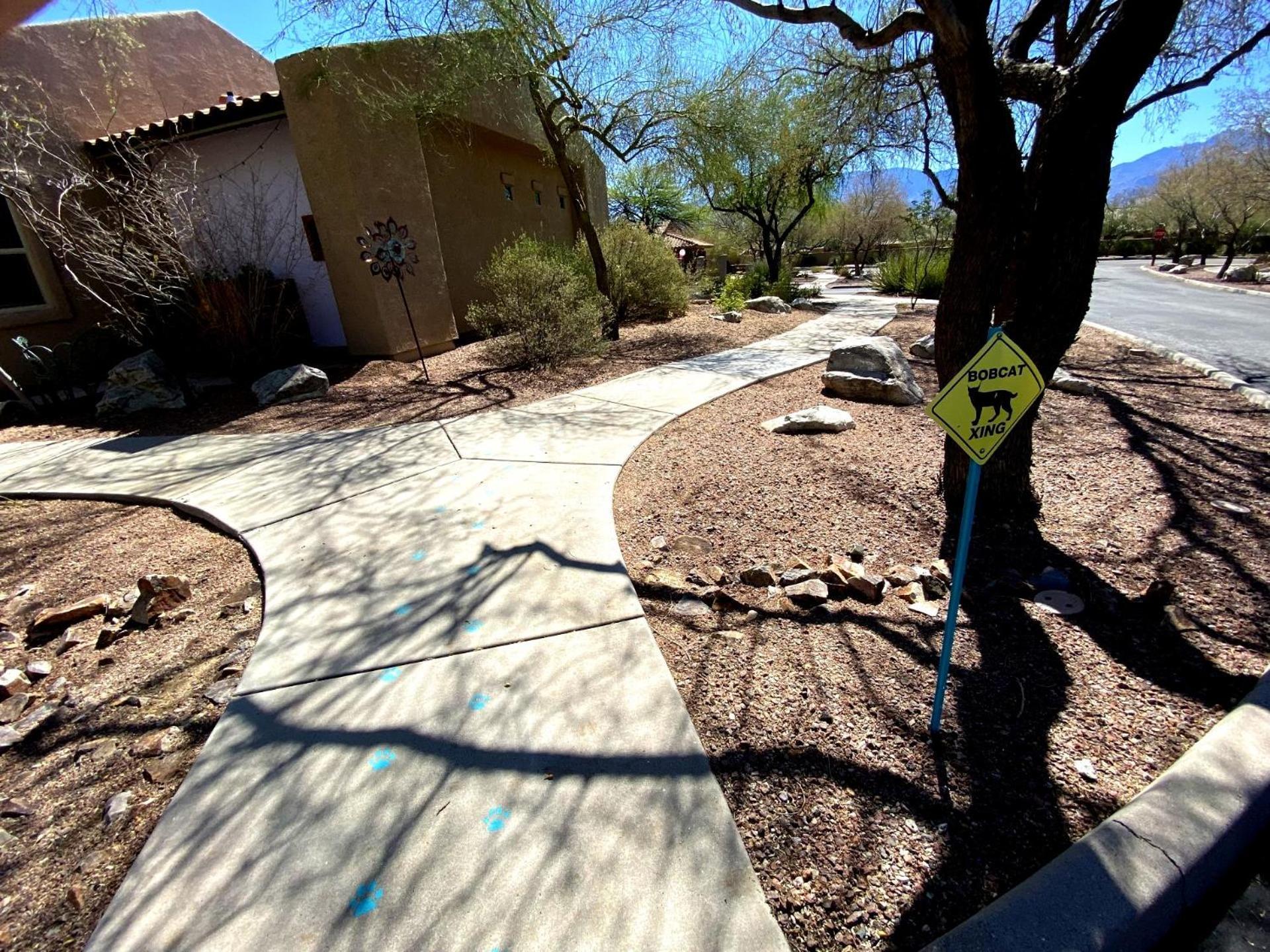 Worldmark Rancho Vistoso Oro Valley Exterior photo